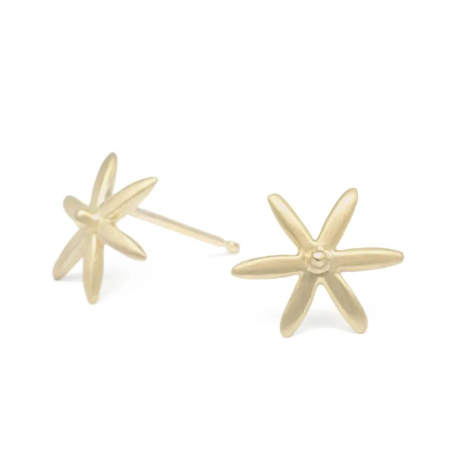 Star Earrings